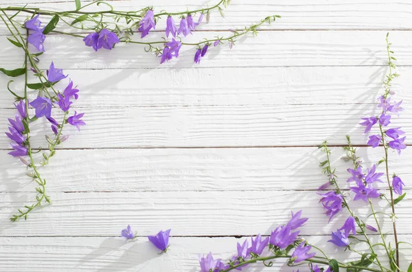 Bluebell Bloemen Witte Houten Achtergrond — Stockfoto