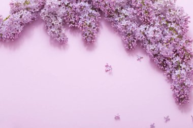 Kağıt arka plan üzerinde güzel lilak