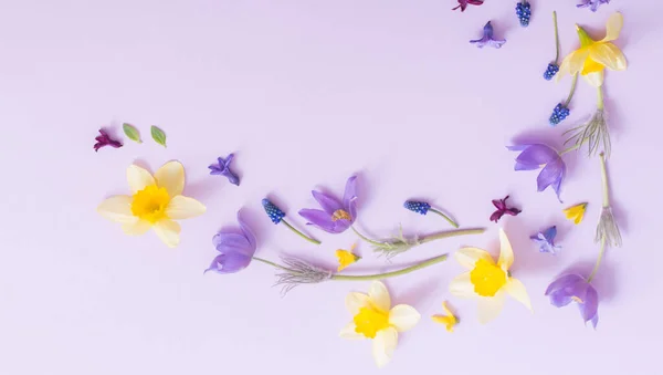 Jarní Květiny Papírové Pozadí — Stock fotografie