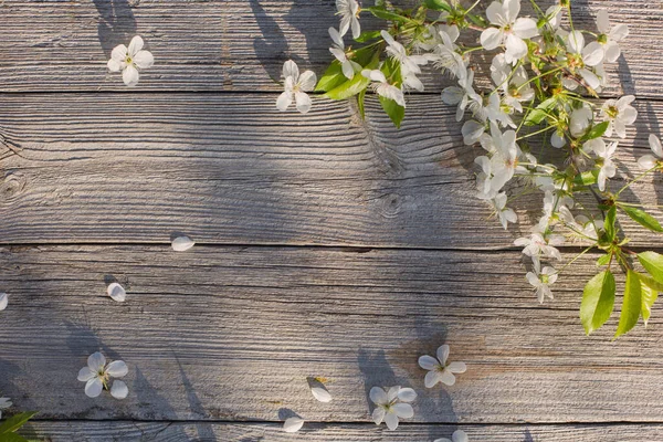 Våren Blommor Gamla Trä Bakgrund — Stockfoto