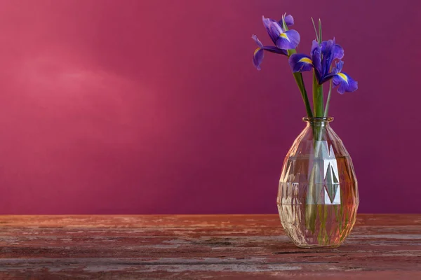 Still Life Spring Floweras Vase — Stock Photo, Image