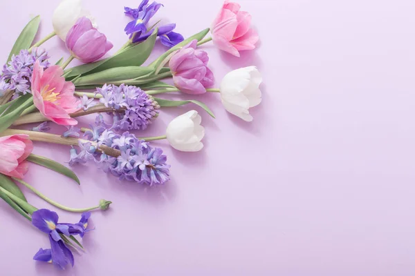 Piękne Kwiaty Tle Papieru — Zdjęcie stockowe