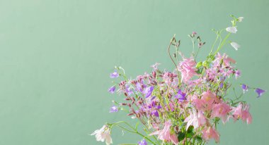 Yeşil arka planda güzel çiçekler 