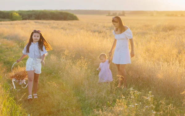 日落时分 快乐的妈妈带着两个小女儿在夏天的田里 — 图库照片