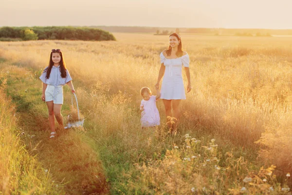 Счастливая Мама Двумя Маленькими Дочками Летнем Поле Закате — стоковое фото
