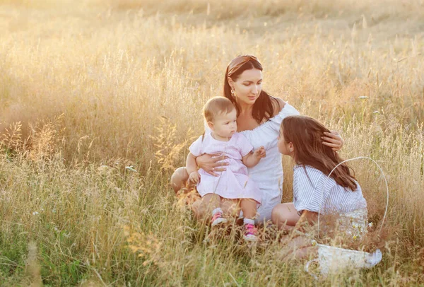 日落时分 快乐的妈妈带着两个小女儿在夏天的田里 — 图库照片