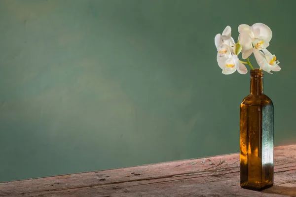 深色底色瓶中的兰花 — 图库照片