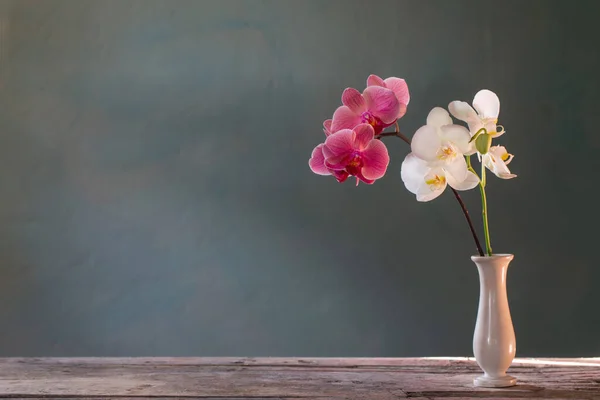 Цветы Орхидеи Вазе Зеленом Фоне — стоковое фото