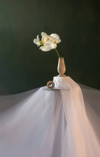 Vaso Rotto Con Orchidea Bianca Sulla Parete Verde Scuro — Foto Stock