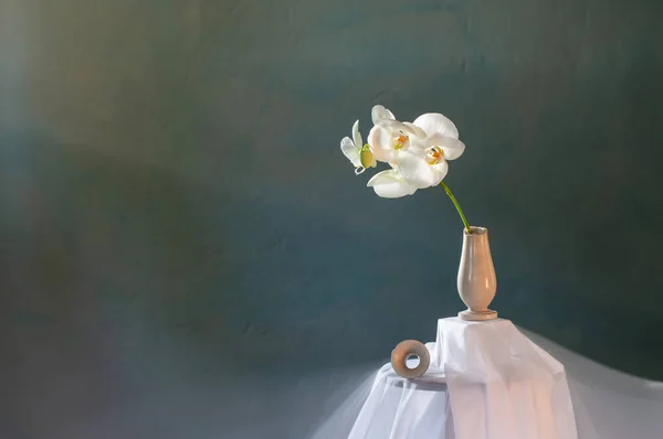 Vase Cassé Avec Orchidée Blanche Sur Mur Vert Foncé — Photo