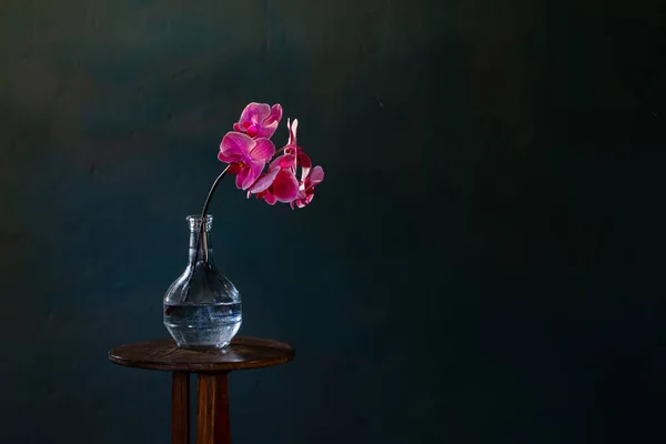 Orquídea Rosa Botella Cristal Sobre Fondo Azul Oscuro —  Fotos de Stock