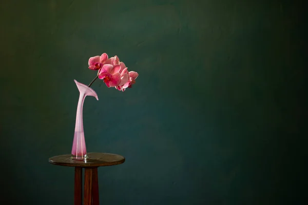 Różowa Orchidea Szklanym Wazonie Ciemnym Tle — Zdjęcie stockowe