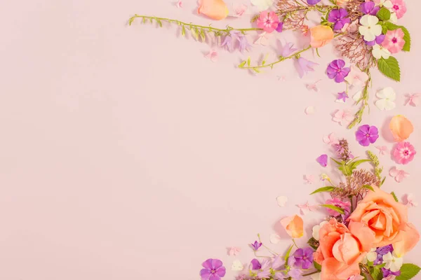 夏の花の模様がカラーペーパーを背景に — ストック写真