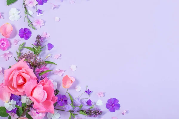 Muster Von Sommerblumen Auf Farbigem Papier Hintergrund — Stockfoto