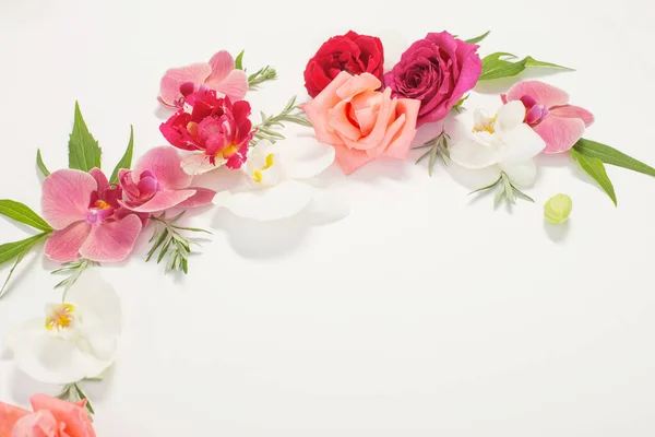 Padrão Flores Verão Fundo Branco — Fotografia de Stock