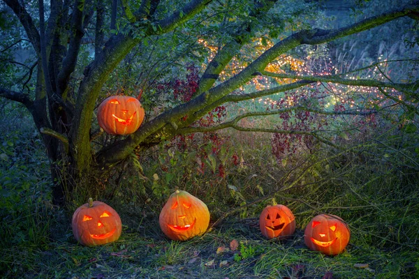 Calabazas Halloween Noche Bosque Misterioso —  Fotos de Stock