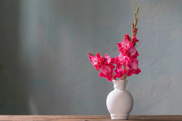 Różowy Gladiolus Białym Wazonie Tle Niebieskiej Ściany — Zdjęcie stockowe