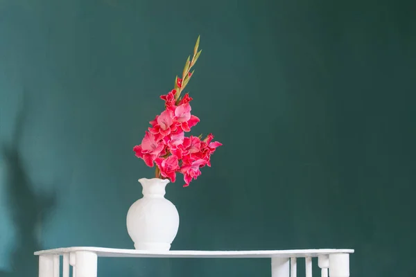 Рожевий Гладіолус Білій Вазі Фоні Зеленої Стіни — стокове фото
