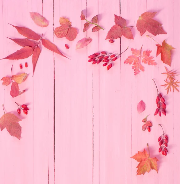 Podzimní Listí Růžovém Dřevěném Pozadí — Stock fotografie