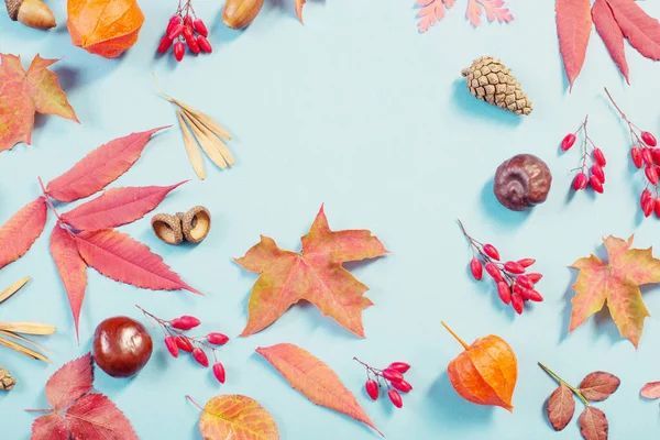 Autumn Leaves Blue Paper Background — Stock Photo, Image