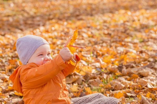 Małe Dziecko Słonecznym Jesiennym Parku — Zdjęcie stockowe