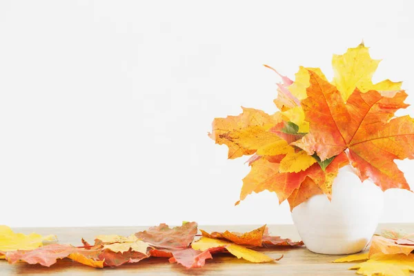 Autumnal Leaves White Vase White Background — Stock Photo, Image