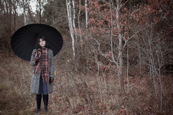 Sonbahar Ormanında Siyah Şemsiyeli Genç Kız — Stok fotoğraf