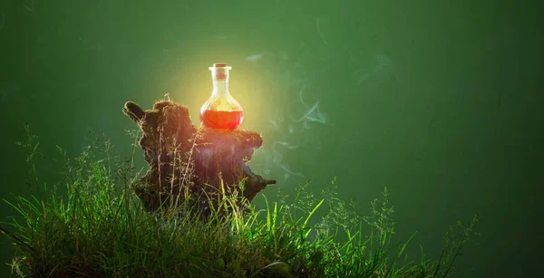 Butelka Magicznych Eliksirów Magicznym Lesie — Zdjęcie stockowe