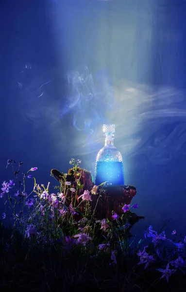 Bottiglia Pozioni Magiche Nella Foresta Magica — Foto Stock