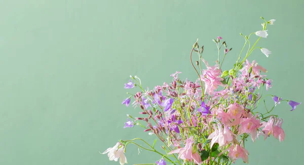 Дикі Красиві Квіти Зеленому Фоні — стокове фото