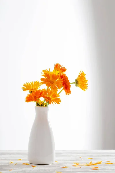白色底色的白色花瓶中的橙红色金盏花 — 图库照片