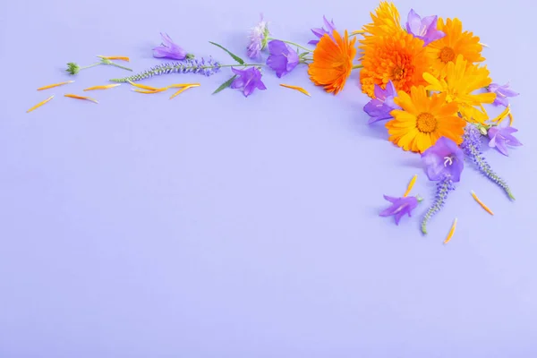 Summer Flowers Violet Paper Background — Stock Photo, Image