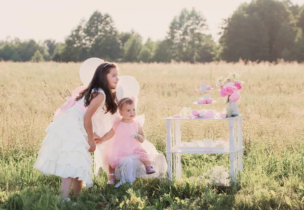 Twee Jonge Zusjes Prachtige Jurken Met Ballonnen Bloemen Snoepjes Zonnig — Stockfoto