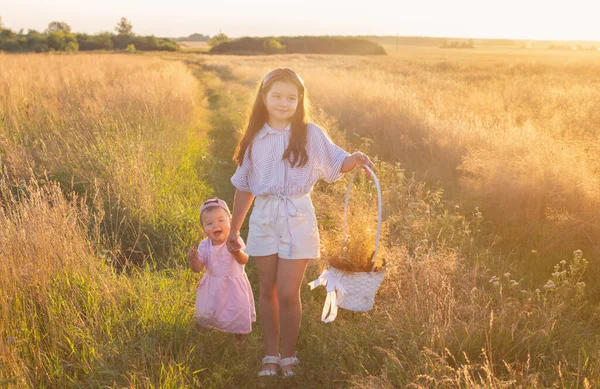 Yaz Tarlasında Gün Batımında Iki Küçük Kız Kardeş — Stok fotoğraf