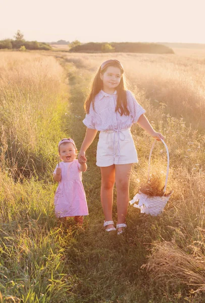 Δύο Μικρές Αδελφές Στο Θερινό Πεδίο Κατά Ηλιοβασίλεμα — Φωτογραφία Αρχείου