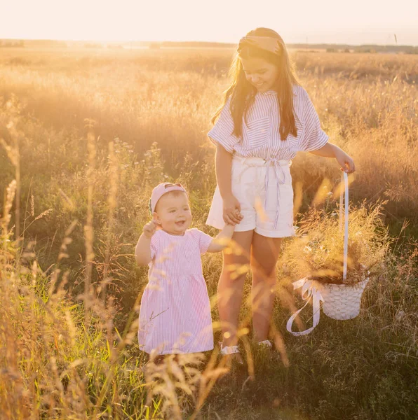 Twee Zusjes Het Zomerveld Bij Zonsondergang — Stockfoto