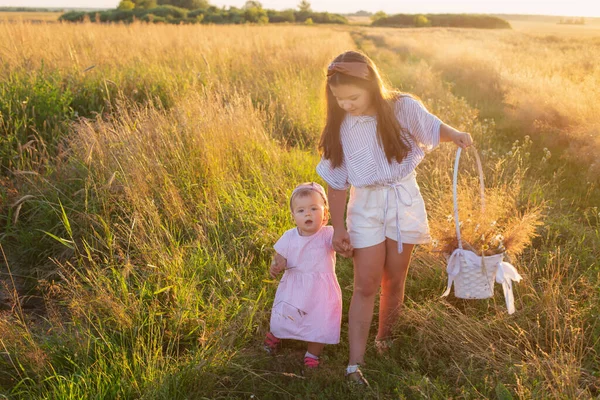 Dvě Malé Sestřičky Letním Poli Při Západu Slunce — Stock fotografie