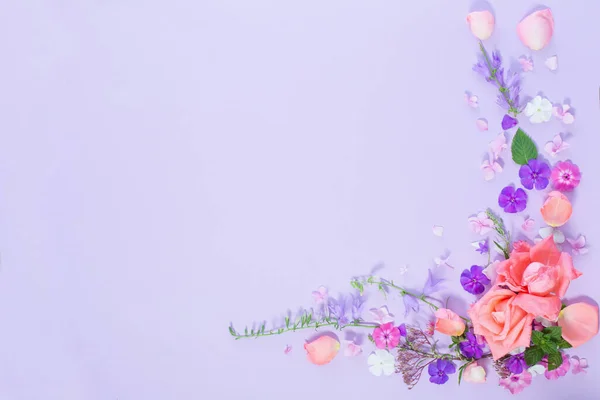 Muster Von Sommerblumen Auf Farbigem Papier Hintergrund — Stockfoto
