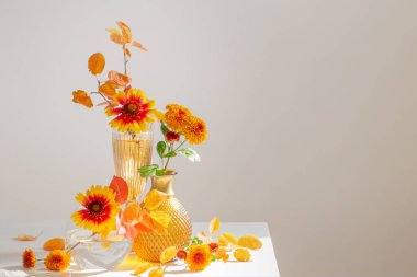 Beyaz arkaplanda cam vazodaki kasımpatılar