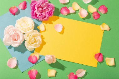 Renkli kağıt arkaplanda güneş ışığında gül çiçekleri