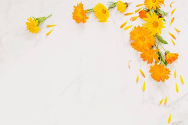 Beyaz mermer arka planda turuncu kadife çiçekleri