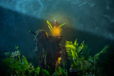 Sihirli ormanda sihirli iksir şişesi