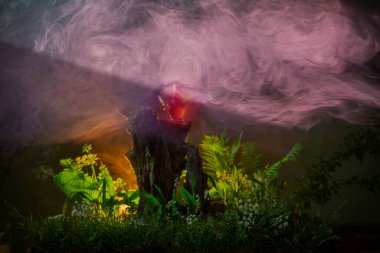 Sihirli ormanda sihirli iksir şişesi