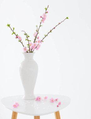 Beyaz arkaplandaki vazoda çiçek açan badem dalları