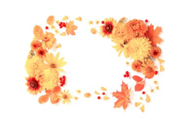 Sonbahar çiçekleri ve yaprakları beyaz arkaplanda izole edilmiş