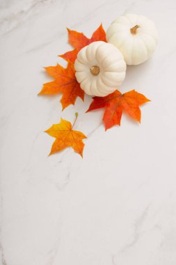 Beyaz mermer zemin üzerinde beyaz balkabakları ve turuncu akçaağaç yaprakları