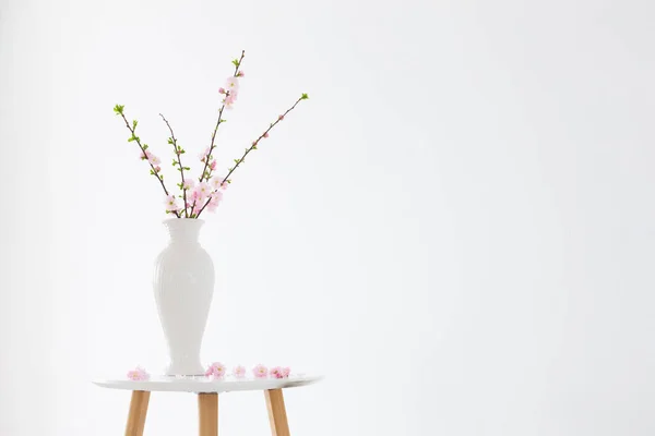 Branches Amandes Fleurs Dans Vase Sur Fond Blanc — Photo