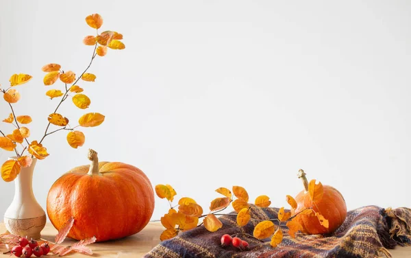 Podzimní Větve Oranžovými Listy Váze Dýněmi Bílém Pozadí — Stock fotografie