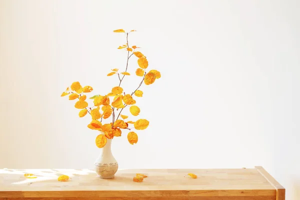 秋天的枝条 花瓶里有桔子叶 白色背景 — 图库照片