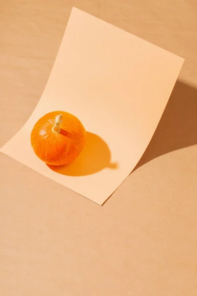Kleiner Orangefarbener Kürbis Auf Orangefarbenem Papier — Stockfoto